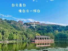 -顺峰山公园