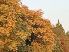 -东莞植物园