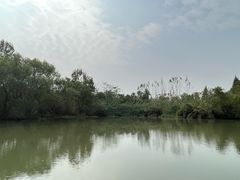 -白塔湖国家湿地公园