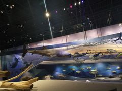 -武汉园博园(武汉自然博物馆)