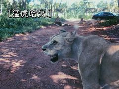 -海南热带野生动植物园