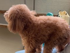 -美联众合动物医院·24h京西诊疗中心