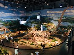 -自贡恐龙博物馆