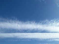 -紫丁香饭店-中餐厅