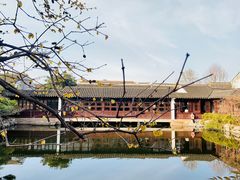 -艺圃