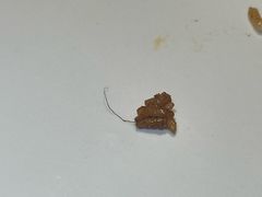 -树熊(三川店)
