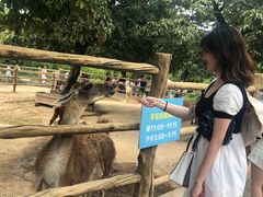 -西安秦岭野生动物园