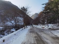 -抱龙峪