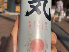 -童婆婆酥肉(双楠店)