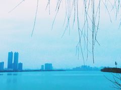 -艾溪湖湿地公园