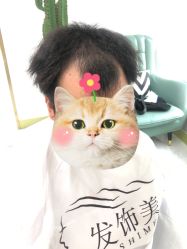 -发饰美男士增发补发假发定制店