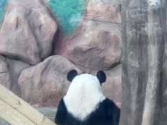 -南宁市动物园