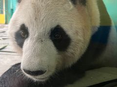 -杭州野生动物世界