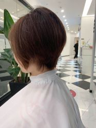 -程Studio