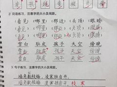 -戏墨娃·书法·国画(景城邻里校区)