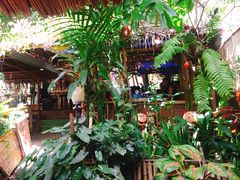 -Jungle Kitchen