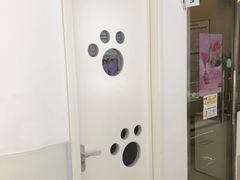 -北京观赏动物医院·24小时大型综合·猫专科·异宠专科