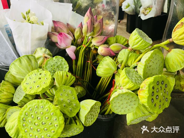 循礼门鲜花花市(武汉循礼门店)图片