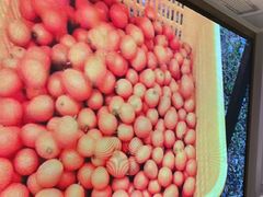 -狮王府淮扬菜(百家湖1912店)