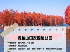 -青龙山国家森林公园