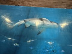 -华夏文旅西安度假区