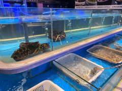 -上海1号私藏菜(静安店)