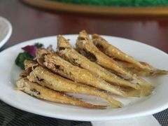 -山东八大碗山东老字号