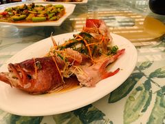 -四姑娘川味海鲜(八爪鱼店)