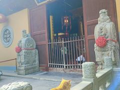 -龙华素斋(龙华路店)