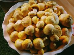 -炕锅羊肉土火锅面片大王