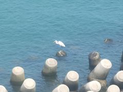 -港珠澳大桥(珠海段)