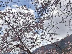 -赤水丹霞旅游区·大瀑布