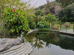 -云溪植物园