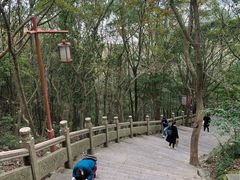 -普陀山风景区-佛顶山