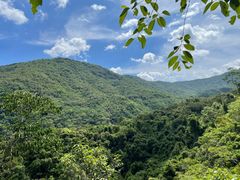 -海南霸王岭国家森林公园