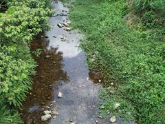 -福清灵石山国家森林公园