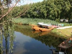 -白渔泡湿地公园