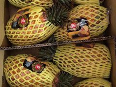 -上海龙吴水胜海发市场