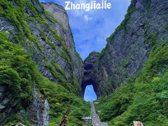 -张家界天门山国家森林公园