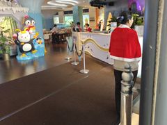 -帝企鹅自助餐厅•儿童岛•真企鹅(长隆企鹅酒店)