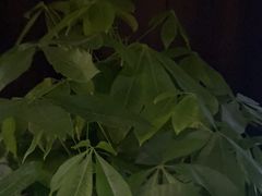 -泰之源足浴会所(玉环店)