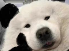 -川渔居—鱼火锅(八方汇店)