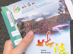 -姑婆山旅游区