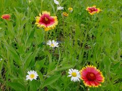 -永定河休闲森林公园