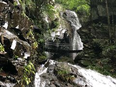 -藏龙百瀑风景区