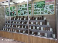 -北京中医药大学-中医药博物馆