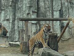 -上海野生动物园