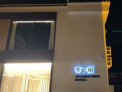 -枣子树·素食餐厅(普陀山店)