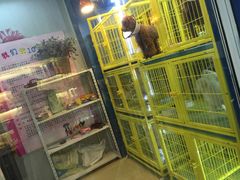 -小呆的宠物店·宠物售卖·宠物寄养(城西店)