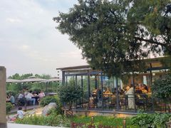 -蘇河湾·新鲁菜·泰山宴(泰山店)
